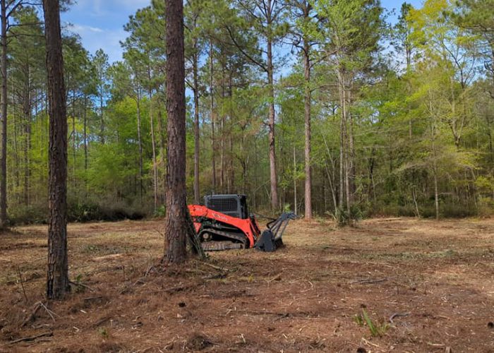 forestry mulching coffee county ga