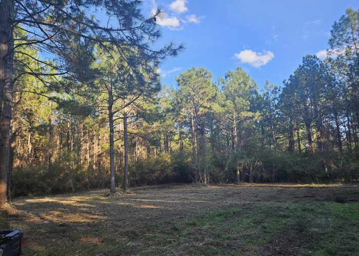 quality land clearing coffee county ga